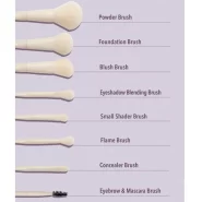 ست براش شیگلم