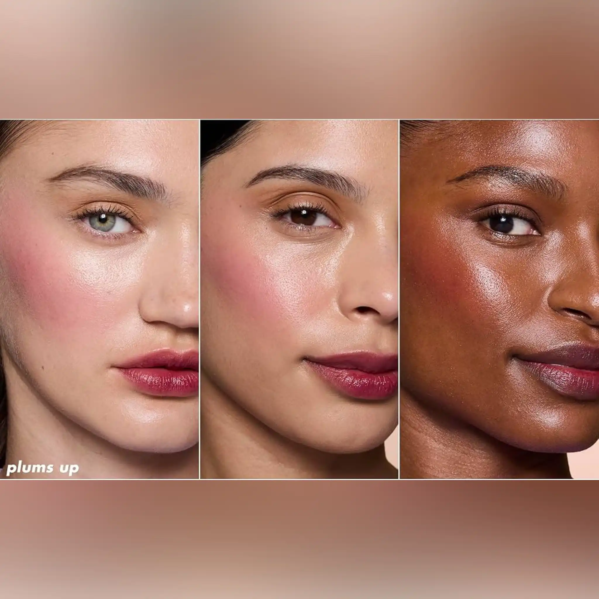 تینت لب و گونه الف رنگ Plums Up